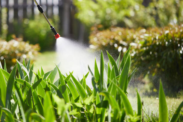 Tamper-Resistant Bait Stations for Rodents in Walker