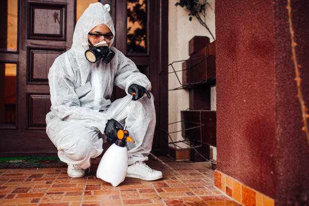 Attic and Crawl Space Rodent Treatment in Walker