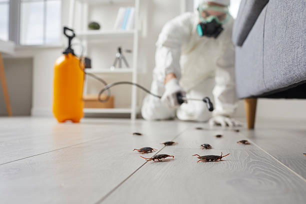Commercial Rodent Management in Walker